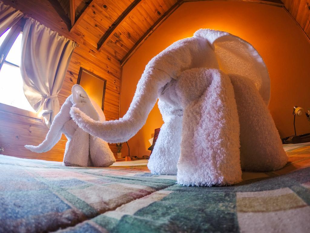Cabanas De La Patagonia San Martín de los Andes Екстериор снимка